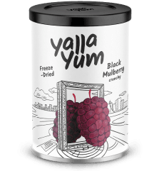 Freeze-Dried Black Mulberry
